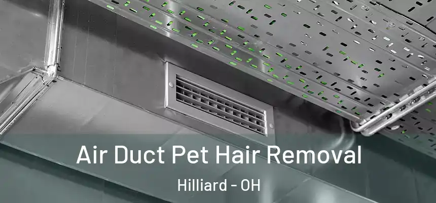  Air Duct Pet Hair Removal Hilliard - OH