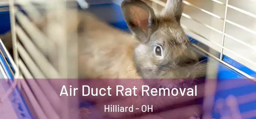  Air Duct Rat Removal Hilliard - OH