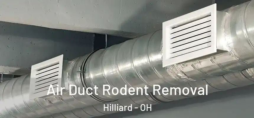  Air Duct Rodent Removal Hilliard - OH
