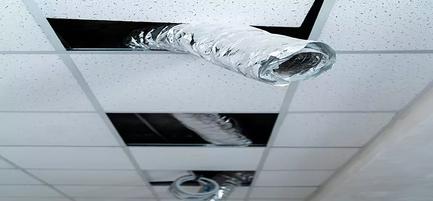 Affordable HVAC Sanitizing After Pest Removal in Hilliard