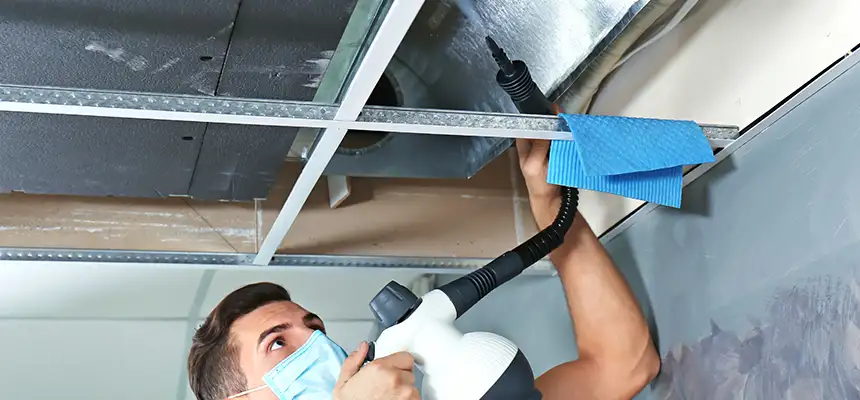 Our Air Duct Rodent Removal Services in Hilliard, OH