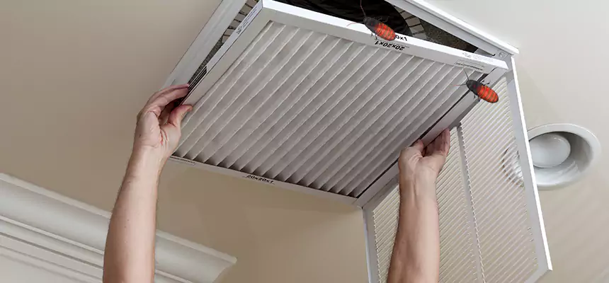 Our Insect Removal from Air Ducts Services in Hilliard, OH