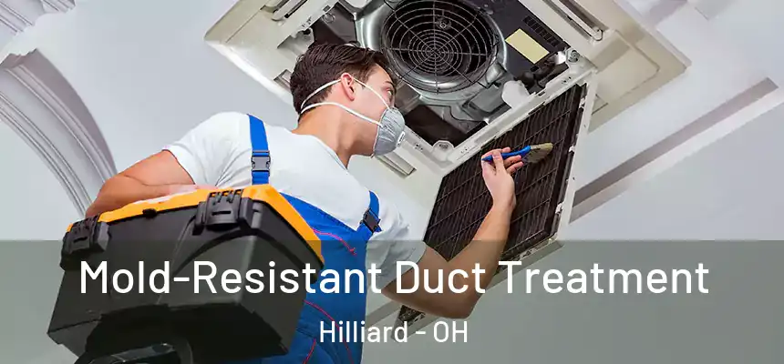  Mold-Resistant Duct Treatment Hilliard - OH