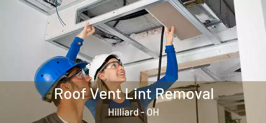  Roof Vent Lint Removal Hilliard - OH