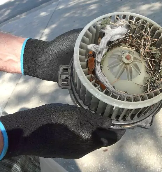 About Air Duct Mice Removal in Hilliard, OH