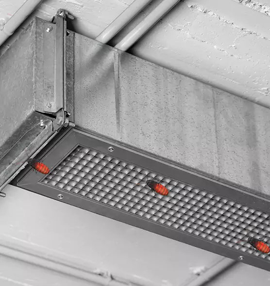 Affordable Insect Removal from Air Ducts in Hilliard, OH
